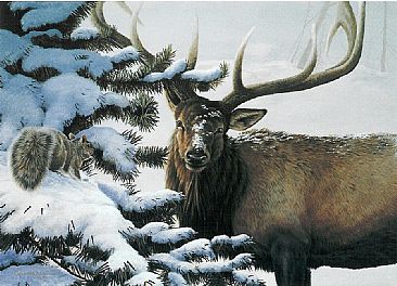 Bull Session - Elk and squirrel by Christopher Walden
